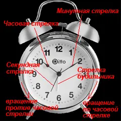Как пользоваться часами