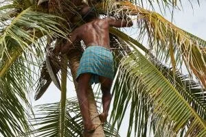 Как залезть на дерево или столб