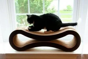 Как приучить котенка к «когтеточке»?