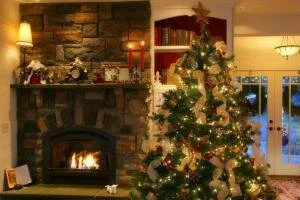 Как продлить жизнь новогодней елке