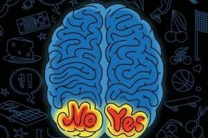 Как развить силу воли или способы по развитию силы воли. Как развить силу воли или способы по развитию силы воли.