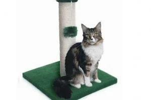 Как сделать когтеточку для кошки?