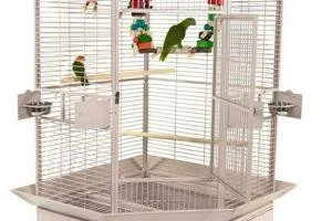 Как выбрать клетку для попугая.
