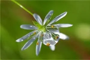 Как избавиться от сырости в квартире