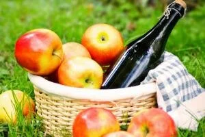 Как организовать отдых на природе