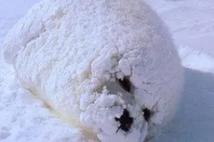 Как быть если мерзнут руки и ноги